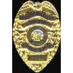 TORRANCE, CA POLICE DEPT BADGE PIN